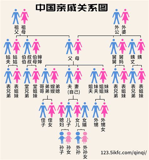 母舅是誰|中国人亲戚关系图表